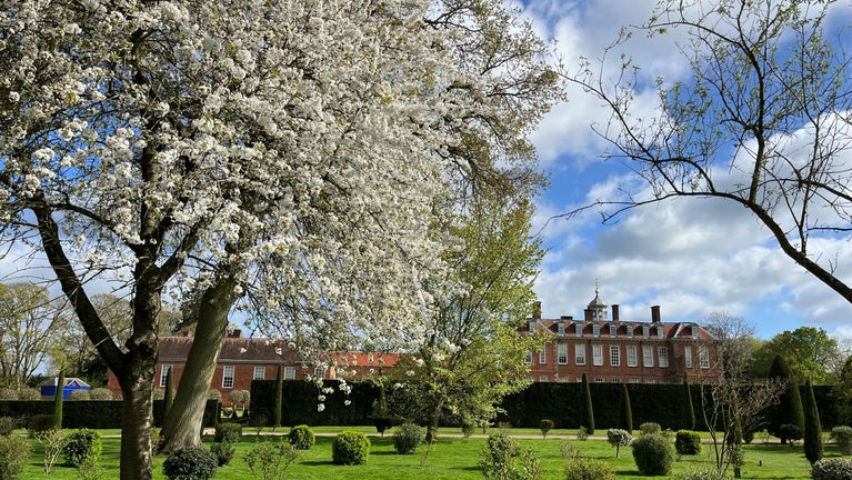 A blossom tree in the gardens at Hanbury Hall